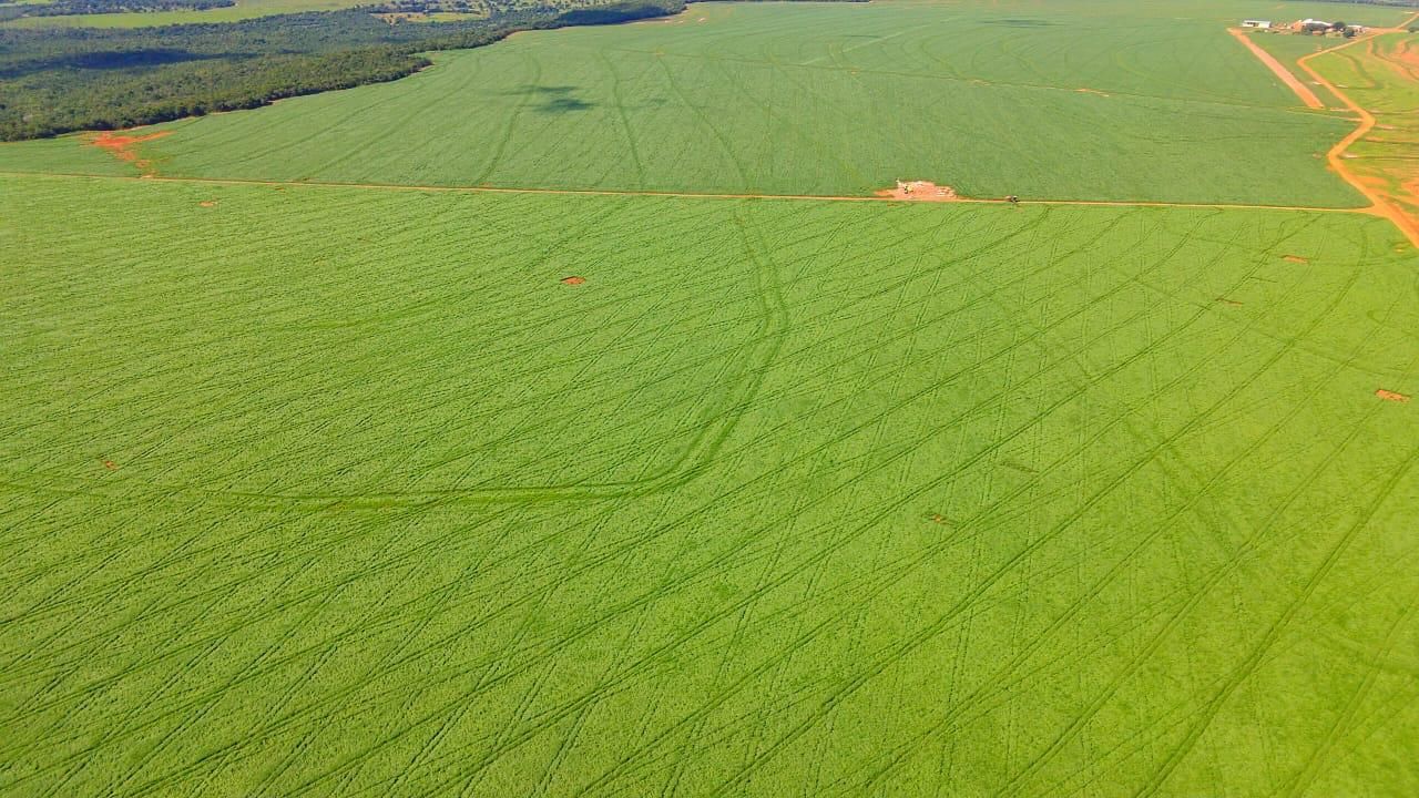 MEGA FAZENDA